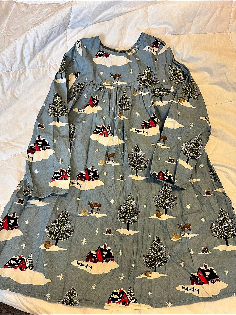 Pink Chicken Girls Blue Winter Print Dress Size 10Y